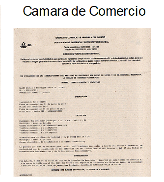 Camara
