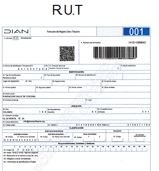 Rut